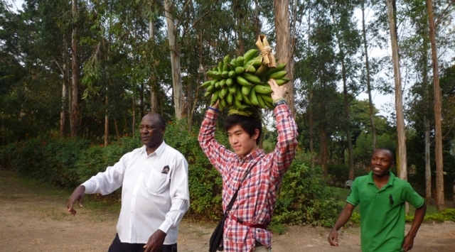 ウガンダの農園のバナナを運ぶお手伝い
