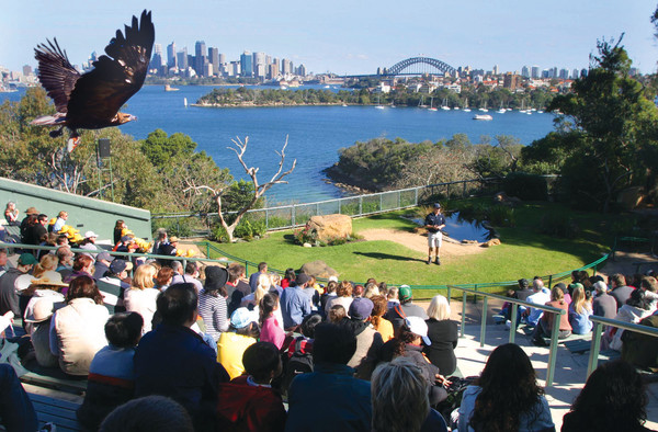 シドニー港の素晴らしい景色が見渡せるタロンガ動物園