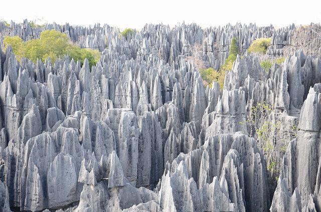 世界遺産のツィンギデベマラ