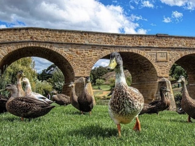 囚人たちによって建設された道路橋「リッチモンド橋」