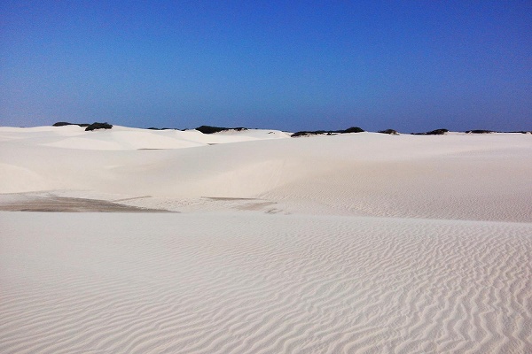 レンソイス国立公園の真っ白な砂丘は砂漠のよう。