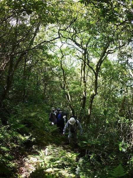 7合目からの登山道の様子