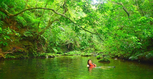 午前中は、カヌーや水遊びを通してマングローブの大自然をお楽しみください。