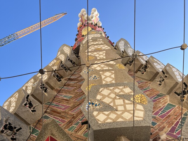 お客様提供お写真