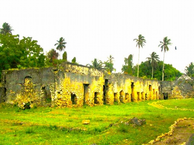 深い歴史を持つザンジバル島では、古代の遺跡も鑑賞できます