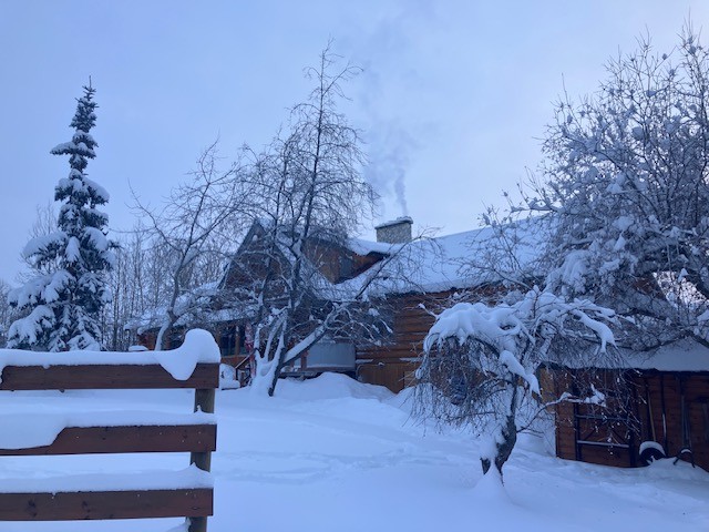お客様ご提供写真