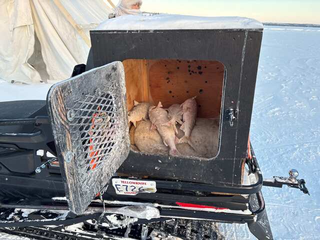 お客様写真提供