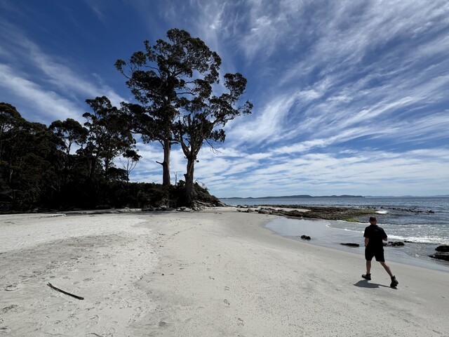 お客様提供お写真