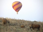 熱気球で動物鑑賞！世界遺産「人類のゆりかご」上空バルーンサファリ【ヨハネスブルク発着/ 約1時間の遊覧飛行＋5スターロッジでの朝食付き】