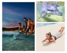 モートン島・タンガルーマリゾートでイルカの餌付けとサンドボーディング体験で1日遊ぼう！（ゴールドコースト送迎付き）