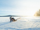 犬ぞり体験【午後発 / 10kmのロングコース/ 期間限定12月 - 3月末】
