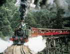 森林浴!蒸気機関車とダンデノン丘陵午前半日ツアー【日本語ガイド】