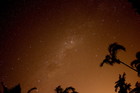 満天の星空とワイルドアニマルウォッチング(エコツーリズムオーストラリア認定ツアー!)