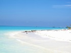 高い透明度と美しい珊瑚礁が自慢の島へ!! コタキナバル発・マンタナニ島シュノーケリング