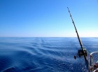 アラビア湾で魚釣りに挑戦!! チャーターボートでドバイ・フィッシングツアー【2017年3月31日までの催行】