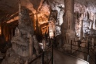 ポストイナ鍾乳洞とプレジャマ城を訪れる1日ツアー【英語ガイド/リュブリャナ発】