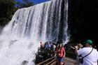 世界最大の滝「悪魔の喉笛」を望む！アルゼンチン側半日ツアー【プライベート/ 英語ガイド】