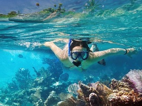 ガラパゴス諸島4泊5日！ハイランド＆湾巡り＆イザベラ島＆サンタフェ島【バルトラ空港発/空港送迎＋宿泊＋ツアー英語ガイド】