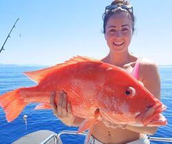 グレートバリアリーフで１日フィッシングツアー