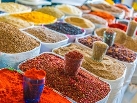 タシケント午後半日観光！見所を効率よく観光【タシケント発/ 英語ガイド/ プライベート】※空きがあれば日本語ガイドへ変更可能