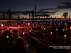 フィールド・オブ・ライト・スターパス予約 | ドリンク＆軽食付き