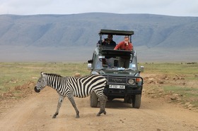 アフリカの大自然を訪れる タンザニア3泊4日の旅 －ンゴロンゴロ自然保護区・マニヤーラ湖 国立公園・タランギーレ 国立公園【英語ドライバーガイド/ 日本語ガイドの追加可能】