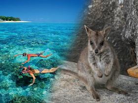 どきどき！グリーン島と動物探検1日ツアー(エコツーリズムオーストラリア認定ツアー！)