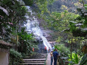 世界遺産の熱帯雨林「チジュカ国立公園」半日トレッキング【英語ガイド】