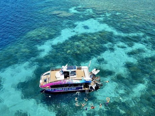 半日でも行ける！午後の出発 世界遺産の海・グレートバリアリーフでシュノーケリングツアー