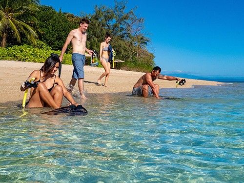 ポートダグラス発 カリプソ・ロウアイルズ半日シュノーケリングツアー