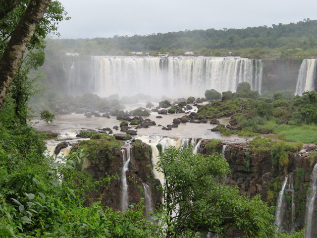 イグアスの滝ブラジル側観光!バードパーク&マクコサファリスピードボート付き【英語ガイド】