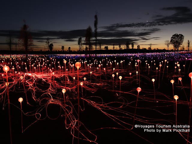 フィールド・オブ・ライト・スターパス予約 | ドリンク＆軽食付き
