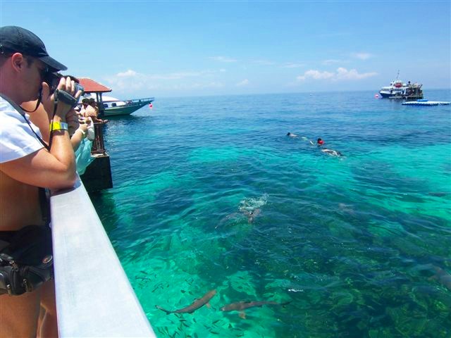 【2018年3月までの催行】マレー半島西海岸一美しいと言われるパヤ島沖に浮かぶポンツーンを訪れる!!ランカウイ島発・コーラルガーデンパヤ