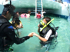 体験ダイビング サンドバー珊瑚礁
