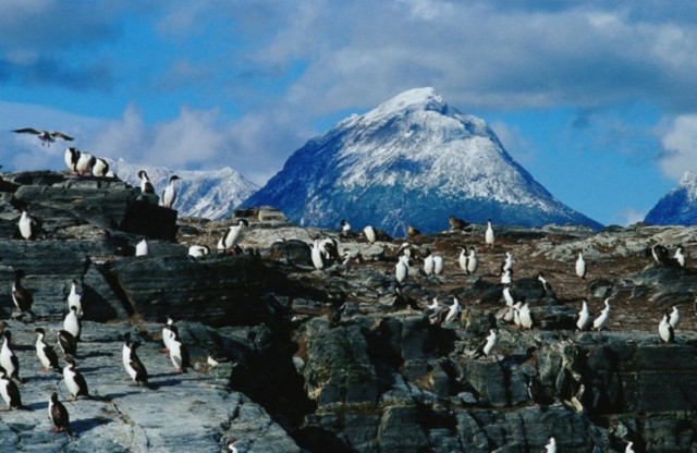ウシュアイア 南米最南端のウシュアイアでペンギンを見よう 期間限定11月 3月 の予約ならホットホリデー