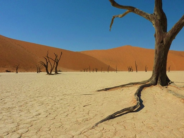 ナミビア 世界遺産ナミブ砂漠を訪れる ソサスブレイ2泊3日キャンプツアー 英語ガイド ウィントフーク発着 の予約ならホットホリデー