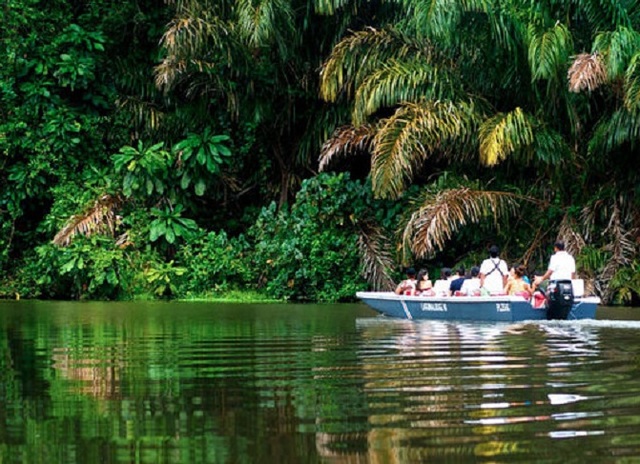 【2023年催行なし】ボートで訪れる未開のジャングル・トルトゥゲーロ国立公園【サンホセ発着】