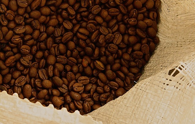 ボゴタ近郊のコーヒー農園「コルマ・コーヒー・ファーム」へ【ボゴタ発】