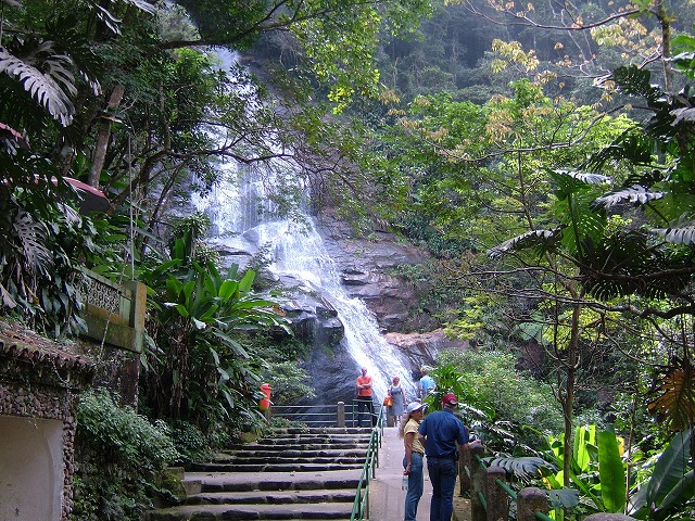 リオデジャネイロ 世界遺産の熱帯雨林 チジュカ国立公園 半日トレッキング 英語ガイド の予約ならホットホリデー