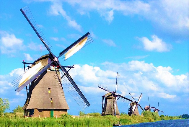 家にいながらオランダ旅行気分！一生に一度は見たい一面のチューリップ！世界遺産の風車群など！【オンライン体験/Zoom利用】
