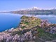 セヴァン湖・セヴァナヴァンク修道院・ガルニ寺院・ゲガルド修道院日帰りツアー【エレバン発/ 英語ガイド/ プライベート】