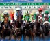 タリフに掲載なし 日本語ガイド付きで安心!競馬観戦ツアー【シンガポール市内送迎付き】