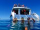 時間がない方におススメ！PADI オープンウォーターダイバーコース(3日間 + Eラーニング)