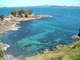 【コロナ禍以降催行中止】ワイナリー&リゾートの島、ワイヘキへ行く オークランド発日本語ガイド付き1日ツアー