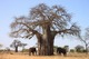 アフリカの大自然を訪れる タンザニア3泊4日の旅 － ンゴロンゴロ自然保護区・セレンゲティ国立公園・マニヤーラ湖 国立公園 【英語ドライバーガイド/ 日本語ガイドの追加可能】