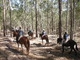 乗馬と牧場体験 半日ツアー