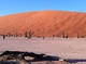 ソーサスフライ2泊3日キャンプツアー！人気のデッドフレイ、Dune 45の訪問あり【英語ガイド/ ウイントフーク発着】