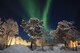 敷地内からオーロラ観賞！アイスイグルー 1泊2日【アルタ市内または空港送迎 / 12～4月】