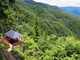 絶景貸切！ランチ付き:奥之院ツアーと森林古道ハイキング【和歌山県高野山】